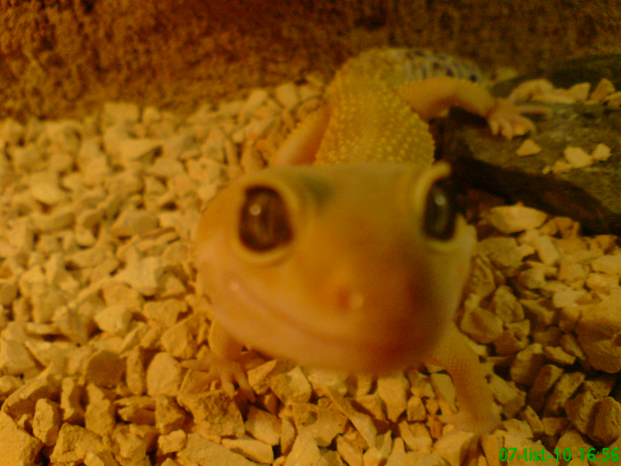 DSC00111